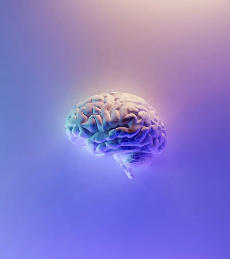 Neurología en Creu Blava
